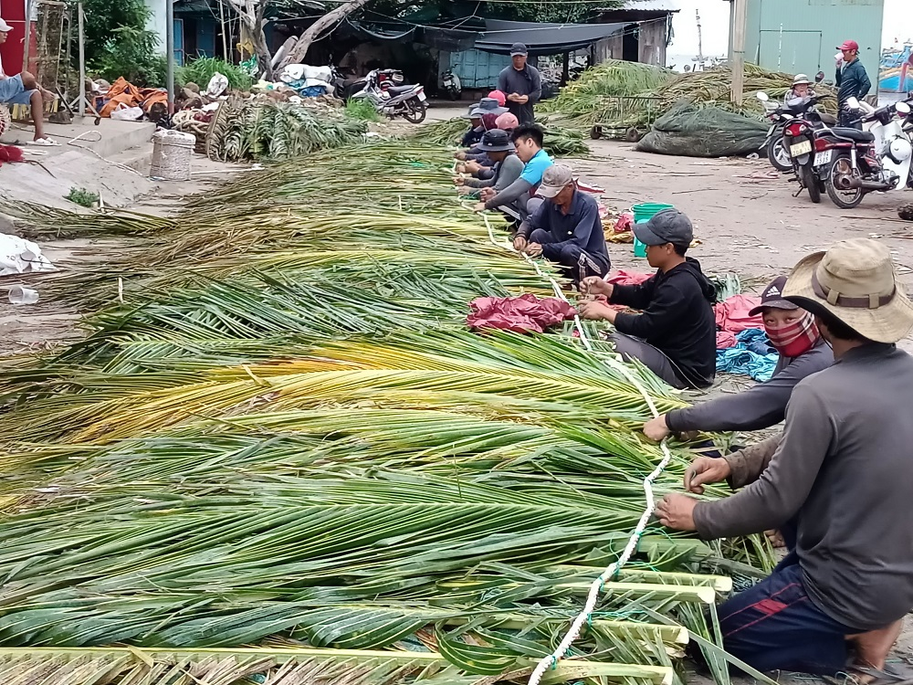 Ngư dân Bình Thuận làm “nhà” cho cá (6/5/2023)